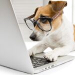 What’s Internet Marketing And the ways to Work Procedure?