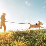 Unlocking the Full Potential of Salesforce: How Managed Services Can Drive Growth